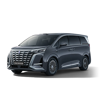 2025款耀世娱乐D9